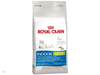 Royal Canin Indoor Appetite Control Kattenvoer 3 X 4 Kg