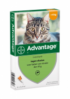 Advantage Advantage Kat