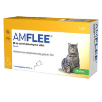 Amflee Amflee Kat