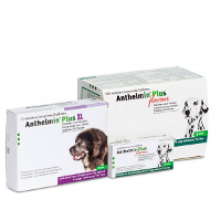 Anthelmin Plus Ontworming Voor Honden 4 Tabletten