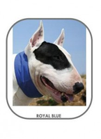 Aqua Coolkeeper Collar Royal Blue