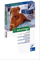Advantage Nr. 400 Vlooienmiddel Hond Vanaf 25 Kg 2 Verpakkingen