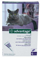 Bayer Advantage Kat 4 Pipetten 80>4 Kg