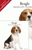 Beagle Kalender  2012