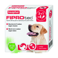 Beaphar Fiprotec Spot On Voor Honden Van 20 Tot 40 Kg 4 Pipetten