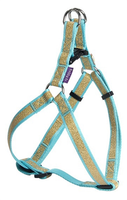 Bobby Tuig Voor Hond Papagayo Turquoise #95;_25 37x1 Cm