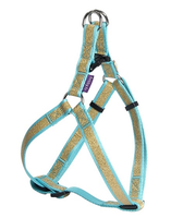 Bobby Tuig Voor Hond Papagayo Turquoise #95;_55 88x2,5 Cm