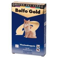 Bolfo Gold 40 Kat Tot 4 Kg 4 Pipetten