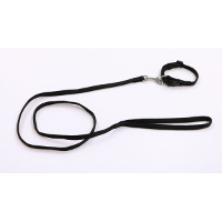 Brekz Nylon Halsband Gevoerd Met Looplijn 10 Mm X 120 Cm Zwart