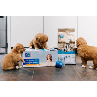 Carocroc Puppypakket   Hondenvoer   Gevogelte Rijst Lijnzaadolie 1.5 Kg Pups
