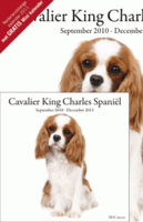 Cavalier King Charles Spani L 2012