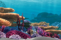 Disney Nemo Achterwand #95;_60x40 Cm