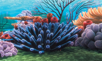 Disney Nemo Achterwand Koraal 50x30 Cm