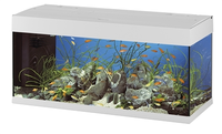 Ferplast Aquarium Dubai 120 Wit 121x41x56 Cm