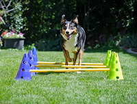 Fitpaws Canine Gym Dog Agility Kit
