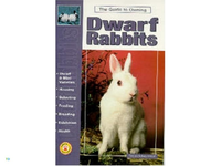 Huismerk Boek Guide To Own Dwarf / Rabbit