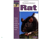 Huismerk Boek Guide To Owning A Rat