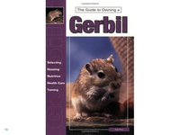 Huismerk Boek Guide To Owning Gerbil