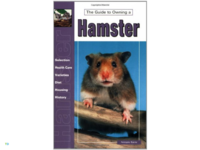 Huismerk Boek Guide To Owning Hamster   1 Stusk