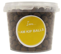 I Am Kip Balls #95;_