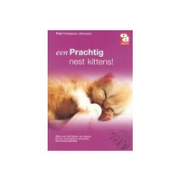 Informatieboekje Een Prachtig Nest Kittens!