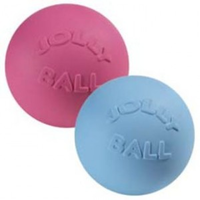 Jolly Ball Bounce N Play Medium/large