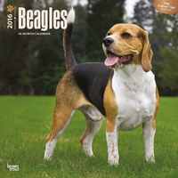 Kalender Beagles 2016