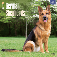 Kalender Duitse Herders 2017 (german Shepherds)