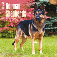 Kalender German Shepherds 2016