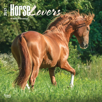 Kalender Horse Lovers 2017(paarden)