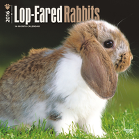 Kalender Lop Eared Rabbits 2016