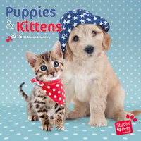 Kalender Myrna Kittens & Puppies 2016
