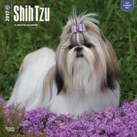 Kalender Shih Tzu 2017