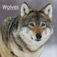 Kalender Wolves 2016