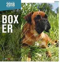 Kalender Boxer 2018 #95;_