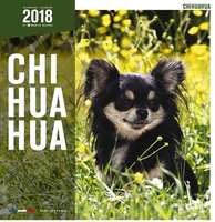 Kalender Chihuahua 2018 #95;_