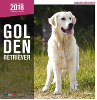 Kalender Golden Retriever 2018 #95;_