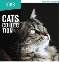 Kalender Katten 2018 #95;_