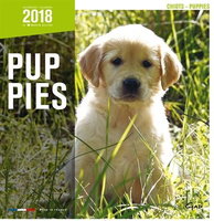 Kalender Puppy's 2018