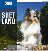 Kalender Shelti 2018 #95;_