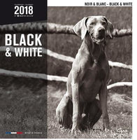 Kalender Zwart Wit 2018 #95;_