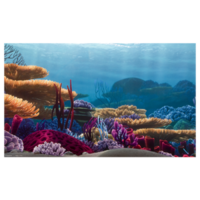 Nickelodeon Achterwandposter Nemo Koraal 60x40 Cm