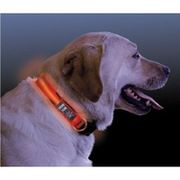 Nitedawg Lichtgevende Halsband Voor De Hond Small