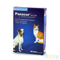 Panacur Ontwormingsmiddel Kh 500 Voor Middelgrote En Grote Honden 10 Tabletten