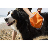 Oranje Hondenhanddoek Pocket Towel
