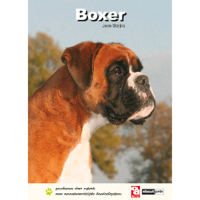 Over Dieren Boxer   Jean Steijns   Hondenboek   Per Stuk