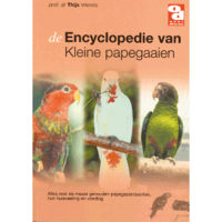 Over Dieren Encyclopedie Kleine Papegaaien Per Stuk