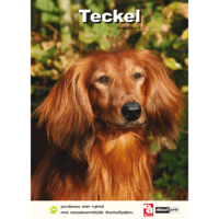 Over Dieren Teckel   Hondenboek   Per Stuk