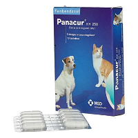 Panacur Panacur Hond/kat