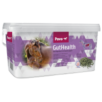 Pavo Guthealth   Voedingssupplement   8 Kg